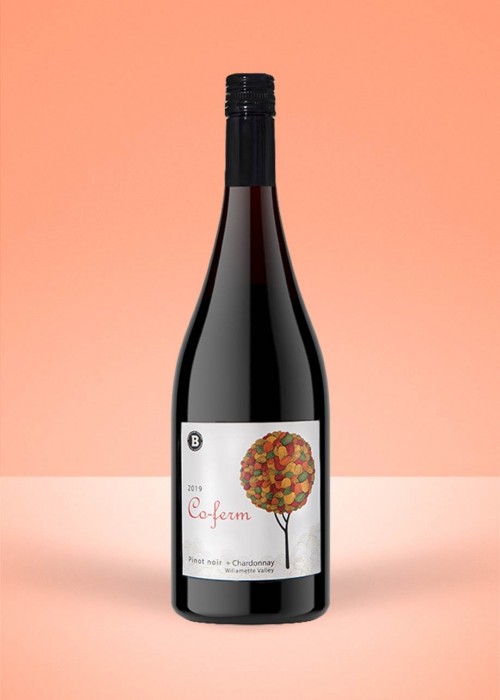 2019 Boedecker Cellars Willamette Valley Co-Ferm Pinot Noir + Chardonnay