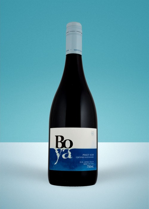 2017 Boya Pinot Noir