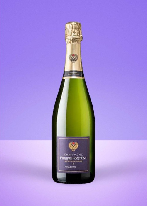 2014 Philippe Fontaine Champagne Brut Millésime