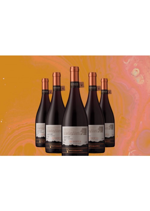 2018 Ventisquero Pinot Noir Reserva 12-Pack