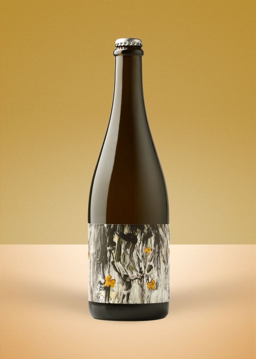2020 Gönc Winery "Canvas" Pet-Nat Pinot Blanc