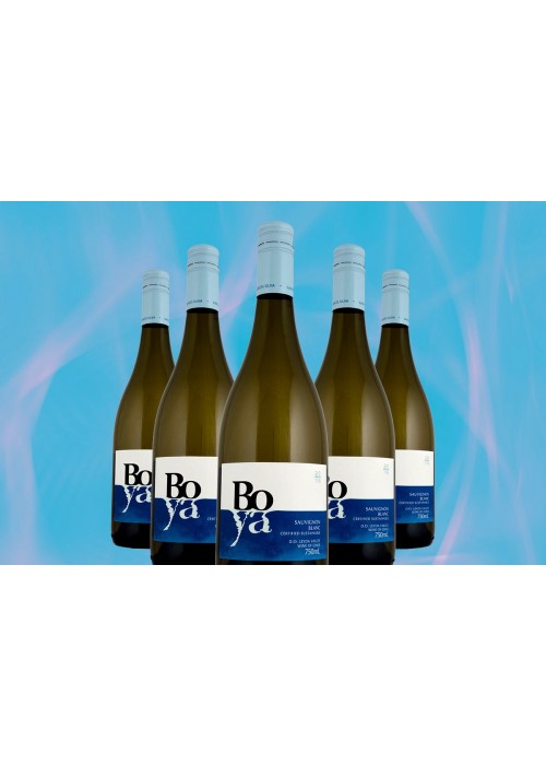 2019 Boya Sauvignon Blanc 12-Pack